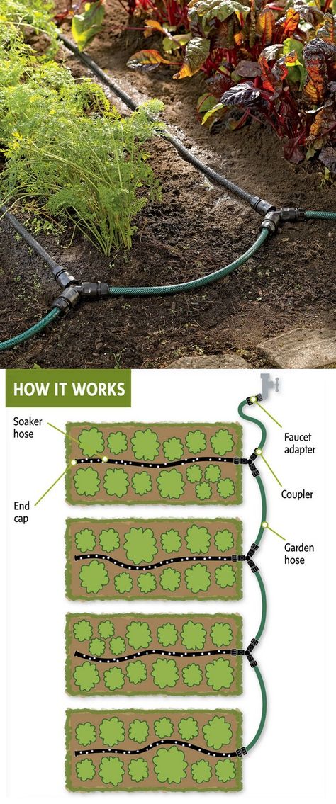 Garden Watering System, Taman Air, Wildlife Garden, Watering System, Veg Garden, Have Inspiration, Garden Irrigation, Garden Bed, Veggie Garden