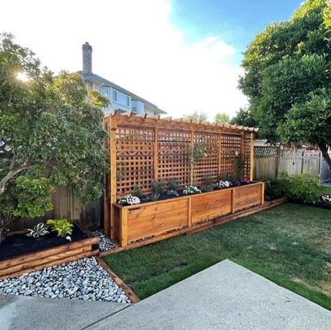 Short Fences, Natural Privacy Fences, Backyard Fence Ideas, Privacy Fence Ideas, Privacy Planter, Diy Privacy Fence, Privacy Ideas, Tiered Planter, Natural Fence