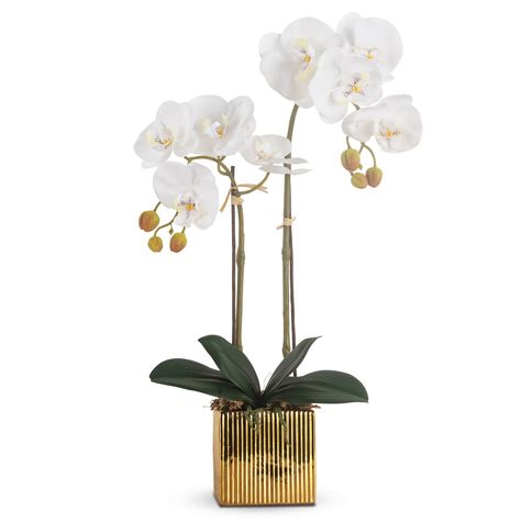 PRICES MAY VARY. Realistic: Lifelike artificial orchid plants, white phalaenopsis fake orchid flowers with high quality ceramic vase, comes with moss. Easy to manipulate: Plastic wrapped wire cored faux orchid stems are bendable, easy to re-shape. Easy to care: Zero watering and no maintenance needed, wipe clean with a soft cloth. This silk orchid flowers is perfect for all seasons. Pretty: Simple but elegant , this orchid plant decor brings brightness to life. Wide use: The realistic and beauti Flower In Vase, Faux Orchid, Winter Arc, Silk Orchids, Orchid Plant, Moth Orchid, Artificial Orchids, Hotel Office, Fake Flower