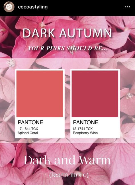 Dark Autumn Pink, Dark Autumn Blush, Deep Autumn Spring Outfits, Color Palette Autumn, Deep Autumn Makeup, Season Analysis, Theatrical Romantic Style, Palette Autumn, Deep Autumn Palette