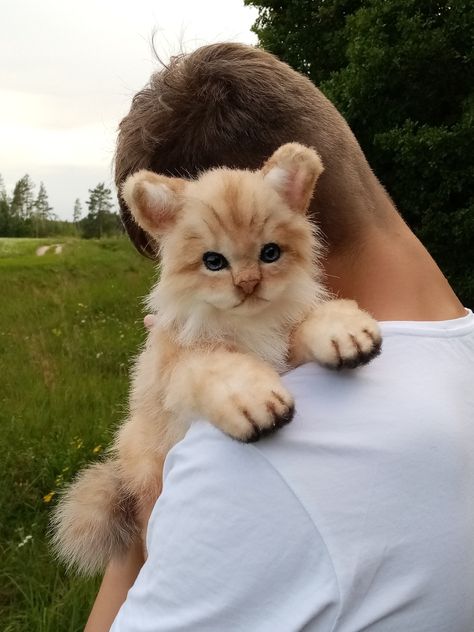 Realistic Stuffed Animals, Kitten Art, Different Poses, Pet Fox, Realistic Dolls, Animal Toys, Handmade Plush, Needle Felted Animals, Wire Frame