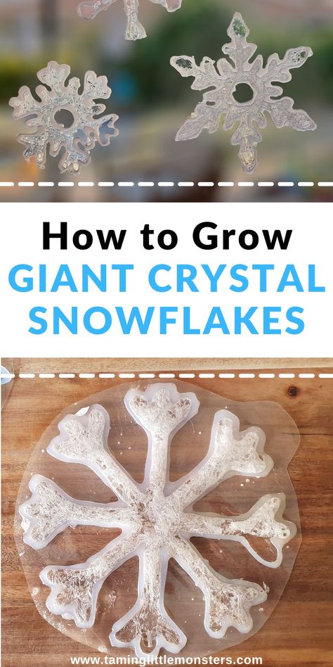 How to Grow Giant Crystal Snowflakes (Winter STEM Activity) - Taming Little Monsters Winter Stem Activities For Kids, Snowflakes Science, Stem Winter, Christmas Stem Activities, Winter Stem Activities, Winter Stem, Grow Your Own Crystals, Winter Science Experiments, Giant Crystal