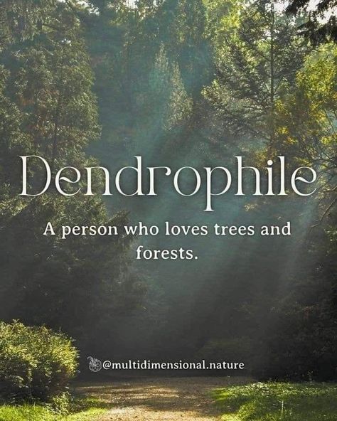 Strong Words With Meaning, I Love Nature Quotes, Pretty Nature Words, Nature Words Unique, Trees Quotes Nature, Aesthetic Meaningful Words, Words For Nature, Words About Nature, Mother Nature Aesthetic