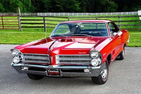 With 500 HP, This 1965 Pontiac Catalina 2+2 Can Easily Boil Its Hides Classic Trucks Vintage, Buick Gsx, Pontiac Catalina, Gm Car, Pontiac Cars, Pontiac Bonneville, Pontiac Gto, Pontiac Firebird, American Muscle Cars