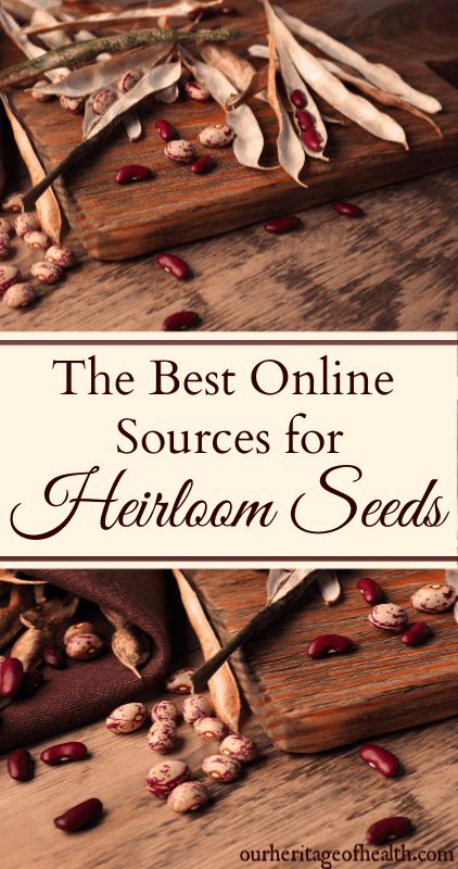 The Best Online Sources for Heirloom Seeds Organic Gardening Pest Control, Seed Shop, Seed Saving, Fruit Seeds, Healthy Garden, Home Vegetable Garden, Organic Seeds, Herb Seeds, Growing Seeds