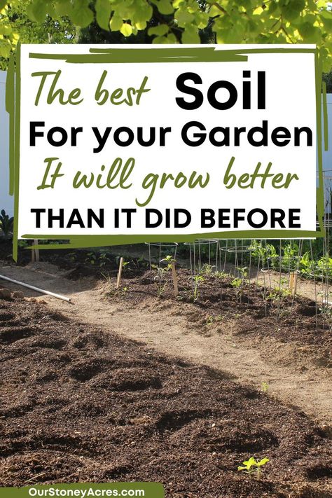 What is the best vegetable garden soil? In this article, I am going to teach you about the 3 main components of garden soil and what the best vegetable garden soil is. You will learn how to improve your garden soil and what is the best garden soil for raised beds. Find even more garden ideas, gardening tips and gardening hacks. Prepare Soil For Vegetable Garden, Soil For Vegetable Garden, Raised Garden Bed Soil, Garden Soil Preparation, Garden Soil Mix, Vegetable Garden Soil, Garden Plots, Backyard Vegetable Gardens, Organic Vegetable Garden