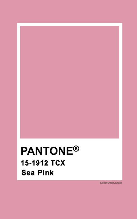 Pantone Color Palettes Archives 2 - Fab Mood | Wedding Colours, Wedding Themes, Wedding colour palettes Dark Pink Pantone, Autumn Wedding Colors, Dark Pink Colour, Wedding Colour Palettes, Pink Pantone, Fab Mood, Mood Wedding, Pantone Color Chart, Pantone Swatches