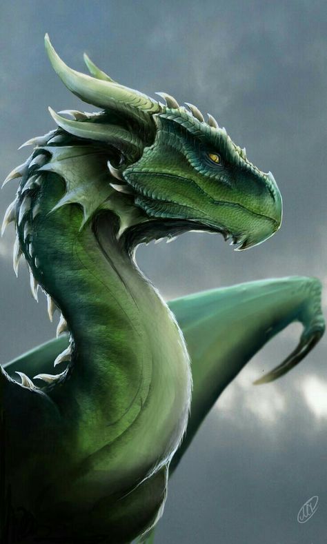 Dragon, green; Dragons Inheritance Cycle, Dragon's Lair, Cool Dragons, Dragon Rider, Dragon Pictures, Green Dragon, Dragon Artwork, Mythical Creatures Art, Dragon Drawing