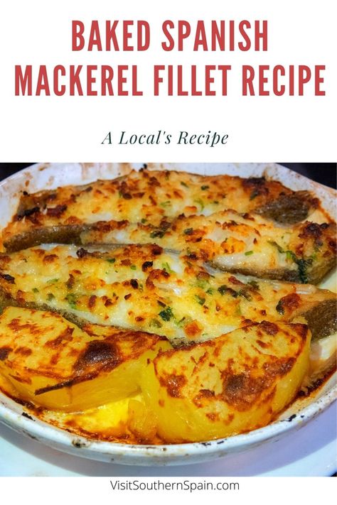 Spanish Mackeral Recipes, Recipes With Mackerel, Mackrell Fish Recipes Dinners, How To Cook Spanish Mackerel, Healthy Mackerel Recipe, Baked Mackerel Recipe, Spanish Mackerel Fish Recipes, Mackrell Recipes Baked, Fresh Mackerel Recipes