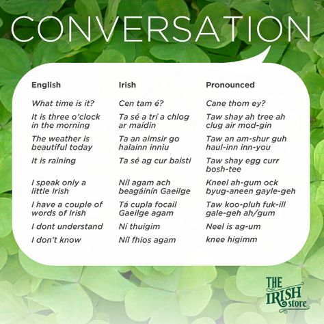 Everyday Conversation Irish Phrases Recipes Dumplings, Irish Gaelic Language, Irish Phrases, Irish Slang, Malaysian Recipes, Armenian Food, Noodle Soups, Gaelic Words, Food Korean