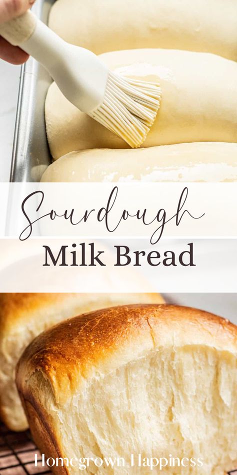 The perfect loaf for any occasion—our Sourdough Milk Bread blends the tang of sourdough with the softness of milk bread for a match made in heaven. Hokkaido Milk Bread, Milk Bread Recipe, Japanese Milk Bread, Sourdough Bread Sandwiches, Sourdough Sandwich, Brunch Bread, Sourdough Starter Recipe, No Rise Bread, Leftover Bread