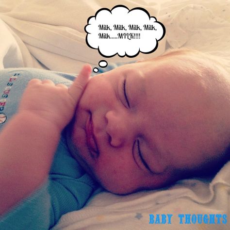 Funny Baby Quote - What Do Babies Dream About?:) Baby Funny Pictures, Baby Captions, Baby Jokes, Photo Funny, Baby Funny, Funny Baby Quotes, Thursday Evening, Pictures Quotes, Do Baby