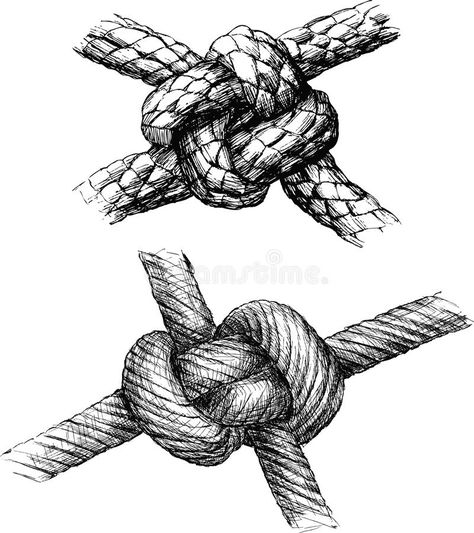 Knot stock vector. Illustration of ... Rope Texture Drawing, Rope Knot Drawing, Knot Reference, Knot Illustration, Knot Drawing, Rope Drawing, Micron Pen Art, Strong Knots, Storyboard Ideas