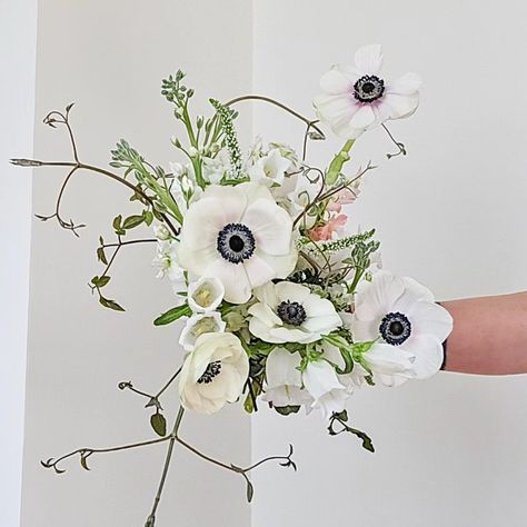 Panda Power! 🐼 Panda anemones, that is. Let’s chat about these beauties! I love anemones, and so do many brides. They come in a stunning range of colors—like red, the classic black and white you see here, purple, and vibrant fuchsia. They also have a pretty reasonable vase life, so they can stay fresh throughout your event. Plus, anemones are generally available year-round, thanks to imports, they’re at their very best in early spring when sourced from local growers. However, there are a f... Anemone Flower Aesthetic, Anemones Bouquet, Hoco Bouquet, Bouquet Small, Anemone Bouquet, White Anemone, Anemone Flower, Stay Fresh, Wedding Idea