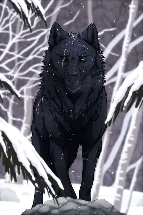 Lup Singuratic, Pet Anime, Postcard Prints, Shadow Wolf, Wolf Artwork, Fantasy Wolf, Wolf Spirit Animal, Werewolf Art, Dire Wolf