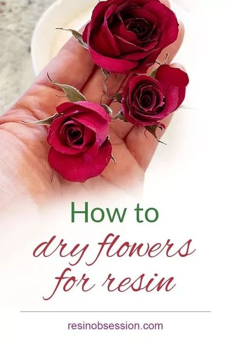 Learn easy way how to dry flowers for your next resin project. Simple steps plus the pro tips to having beautiful flowers for epoxy. How To Dry Roses Diy, Best Way To Preserve Flowers, How To Put Flowers In Resin, How To Dry Flowers For Resin, Epoxy Resin Flowers, Dry Flowers For Resin, How To Dry Flowers, Preserving Flowers, How To Make Resin