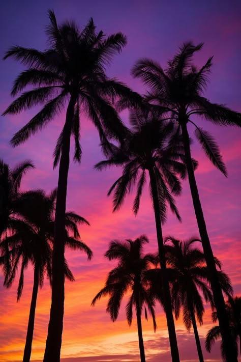 Palm trees silhouette outdoors nature. AI generated Image by rawpixel. | premium image by rawpixel.com Palm Tree Phone Wallpaper, Palm Trees On Beach, La Palm Trees, Palm Trees Aesthetic, Palm Tree Aesthetic, 2025 Moodboard, Trees Silhouette, Florida Palm Trees, Sunset Palm Trees