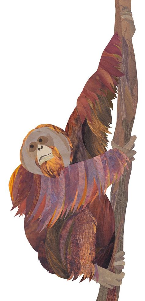 Orangutan Anatomy, Orangatang Art, Orangutan Tattoo, Orangutan Illustration, Orangutan Drawing, Orangutan Art, Zoo Project, Monkey Illustration, Orang Utan