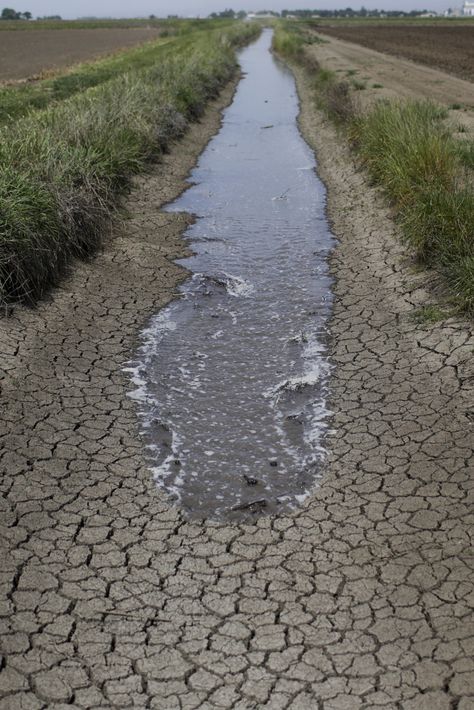 Water Wars in California: Factory Farms Draining the State Dry California Drought, Water Issues, Water Scarcity, Water Projects, Emergency Plan, Sustainable Farming, Water Resources, Pollution, Government