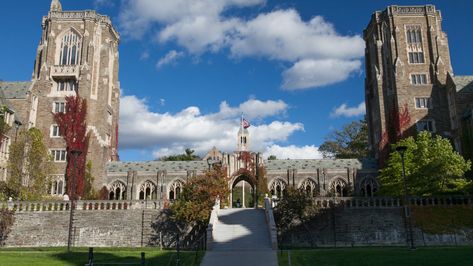 Cornell University Aesthetic, Cornell College, Campus Aesthetic, Applied Economics, Ivy League Colleges, College Counseling, Human Ecology, Cornell University, College Admission