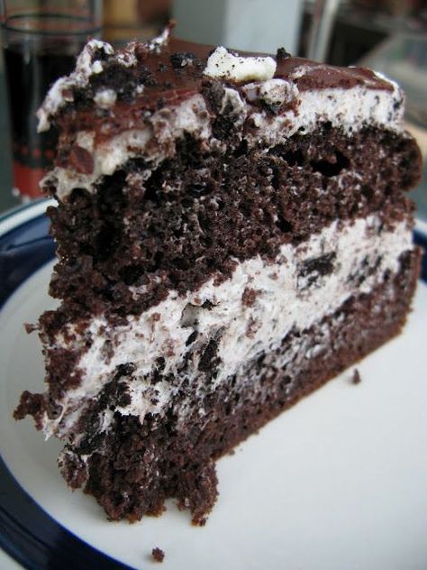 No Bake Chocolate Lasagna Recipe, Chocolate Lasagna Recipe, Peanut Butter Dessert Recipes, Chocolate Peanut Butter Desserts, Chocolate Lasagna, Cookies And Cream Cake, Cake Filling, Peanut Butter No Bake, Layered Desserts