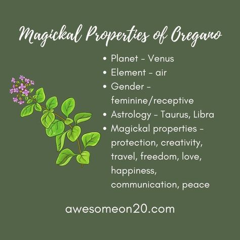 Oregano may be an herb you only associate with Italian food, but it has its own spiritual and healing properties that go way beyond pizza. Let's learn more about how to use oregano in witchcraft. #oregano #kitchenwitchcraft #witchcraft Kitchen Magick, Kitchen Witch Recipes, Magickal Herbs, Medicinal Herbs Garden, Green Witchcraft, Magic Spell Book, Magic Herbs, Kitchen Witchery, Kitchen Magic