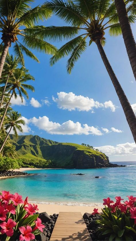 Hawaii Landscape Wallpaper, Beautiful Islands Paradise, Cute Hawaii Pictures, Pretty Places To Visit, Hawaii Beach Aesthetic, Hawaii Background, Pictures Of Hawaii, Hawaiian Wallpaper, Summer In Hawaii