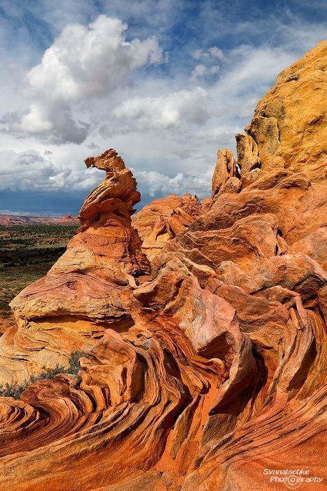 The Seahorse Navajo National Monument, Quilt Landscape, Environment Landscape, Coyote Buttes, Earth Changes, Travel Arizona, Arizona Trip, Vintage Arizona, Desert Photography