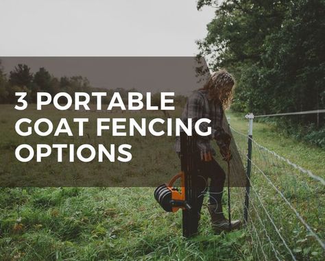 Three portable goat fencing options - Grazing with Leslie