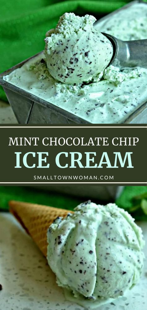 Homemade Ice Cream Recipes Machine, Ice Cream Recipes Machine, Electric Ice Cream Maker, Beaux Desserts, Mint Chip Ice Cream, Easy Ice Cream Recipe, Ice Cream Maker Recipes, Mint Chocolate Chip Ice Cream, Mint Ice Cream