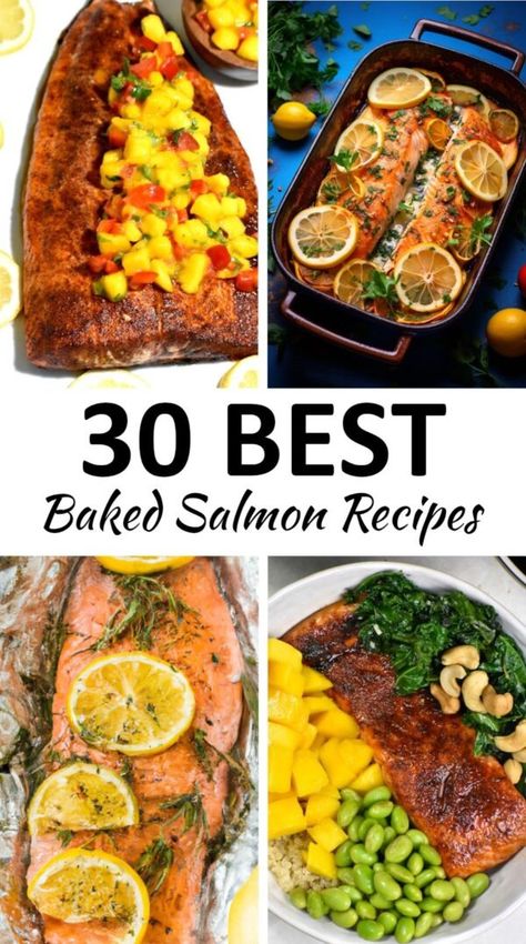 baked salmon recipes pin Easy Baked Salmon Recipes, Best Baked Salmon, Chili Lime Salmon, Keto Entrees, Salmon Recipes Oven, Cilantro Lime Salmon, Baked Teriyaki Salmon, Parmesan Salmon, Baked Salmon Lemon