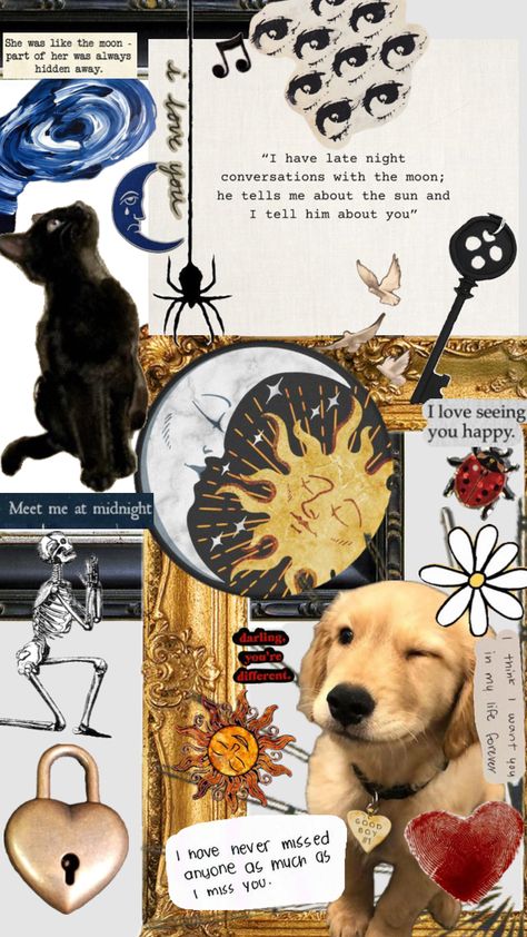 🌓 black cat x golden retriever Black Cat X Golden Retriever, Golden Retriever Wallpaper, Late Night Conversations, Wallpaper Backgrounds, You And I, Golden Retriever, Are You Happy, Black Cat, Black