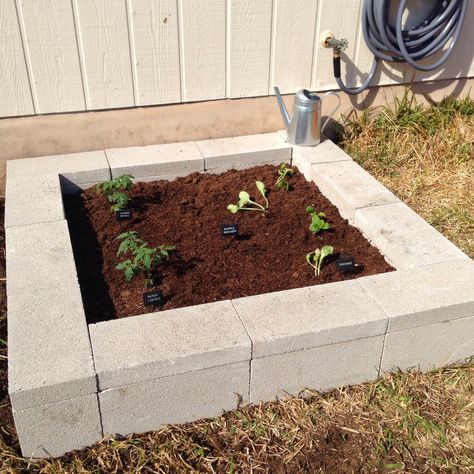 DIY Cinder Block Raised Garden Bed. Visit www.fabeveryday.com for instructions and more photos. Bed Block, Cinder Block Raised Garden Bed, Cinder Block Garden Bed, Cinder Block Raised Garden, Cinder Blocks Diy, Wooden Raised Garden Bed, Taman Diy, Cinder Block Garden, Building Raised Garden Beds