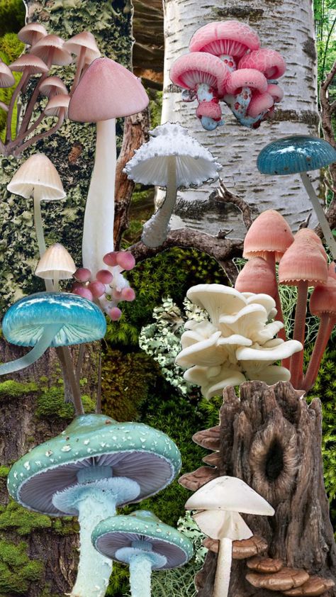 Mushroom On Tree, Gremlincore Aesthetic, Dangerous Plants, Mushroom Field, Mushroom Cluster, Mushroom Guide, Mushroom Identification, Mushroom Painting, Mushroom Spores