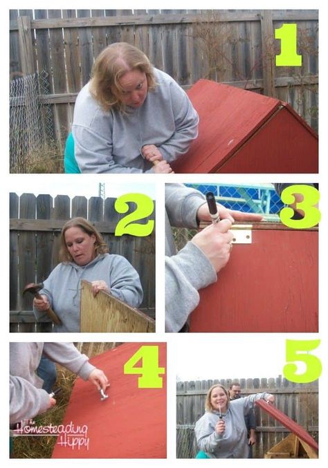 Converting a Dog House into a Chicken Coop The Homesteading Hippy Dog House Chicken Coop, House Chicken Coop, Chicken Coop Blueprints, Animal Chicken, Mobile Chicken Coop, Chicken Houses, House Chicken, Meat Birds, Portable Chicken Coop