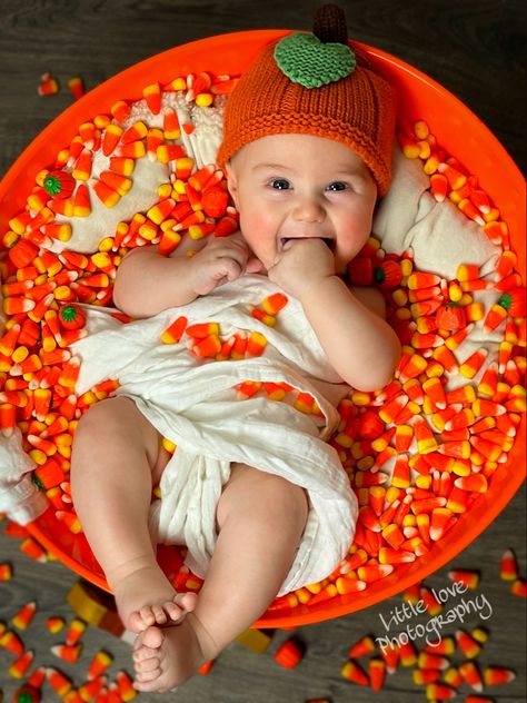 October Pictures For Babies, Cute Fall Newborn Pictures, One Month Pumpkin Pictures, Diy Baby Pumpkin Photoshoot, 3 Month October Pictures, Fall Photo Shoot Ideas For Babies, October One Month Picture, Newborn Halloween Picture Ideas, Fall Pumpkin Baby Photoshoot