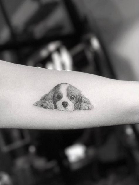 40+ Cute Dog Tattoo Ideas | Art and Design Tatoo Dog, Dog Portrait Tattoo, Small Dog Tattoos, Dragons Tattoo, Dr Woo, Tattoo Dog, Tattoo Trend, Tattoo Arm