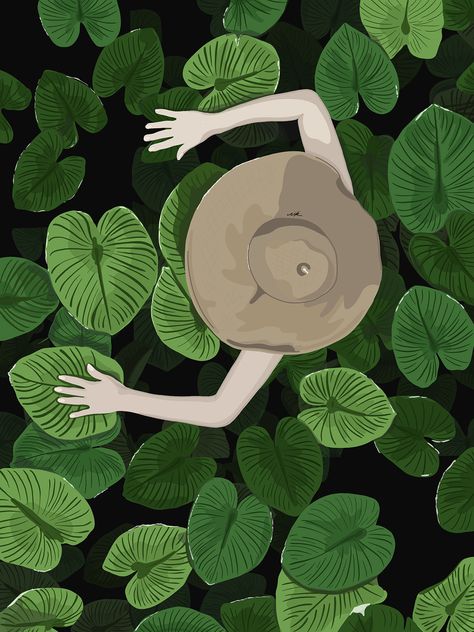 jungle serie illustration | Behance Rainforest Illustration Art, Jungle Digital Art, Tropical Forest Illustration, Jungle Drawing Easy, Tropical Jungle Illustration, Exotic Illustration, Eco Illustration, Rainforest Illustration, Jungle Drawing