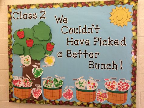 We Couldn’t Have Picked A Better Bunch Bulletin Board-Apples Bulletin Board Apple Ideas, Fall Classroom Boards Preschool, Bulletin Board Apple Tree, Bulitin Board Ideas September, Fall Bulletin Board Ideas Apples, Apple Bulliten Boards For Preschool, Apple Boards For Preschool, Apple Theme Door Decoration, Welcome To Our Class Bulletin Board