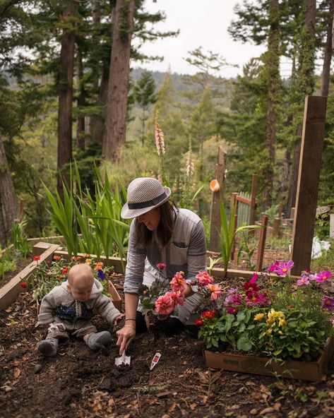 Forest Feast, Tattoo Plant, Future Farms, Cottage Gardens, Future Mom, Jolie Photo, Farm Gardens, Gardening For Kids, Future Life