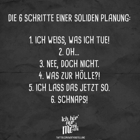 6 Schritte einer soliden Planung: 1. Ich weiß, was ich tue! 2. Oh ... 3. Nee, dich nicht. 4. Was zur Hölle?! 5. Ich lass das jetzt so. 6. Schnaps! Funny Facts, Picture Quotes, Wise Words, Humour, Family Quotes, Sarcasm Humor, Visual Statements, Amazing Quotes, Quote Of The Day