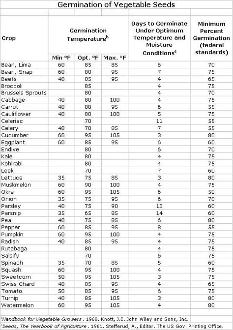 Getting seeds to germinate isn’t an exact science, but some general knowledge of the science helps to get seeds off to a great start. Water, air, light Seeds need to be moist to germinate.  A… Eatable Garden, Growing Tomatoes From Seed, Gardening Seeds, Plant Vegetables, Garden Library, Garden Prepping, Temperature Chart, Tomato Farming, Grow Tomatoes