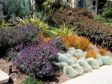 English Garden, California Style - traditional - landscape - los angeles - BE Landscape Design California Landscape Design, California English, Garden California, California Landscaping, Mountain View California, South California, Drought Tolerant Garden, Drought Tolerant Landscape, Farmhouse Landscaping