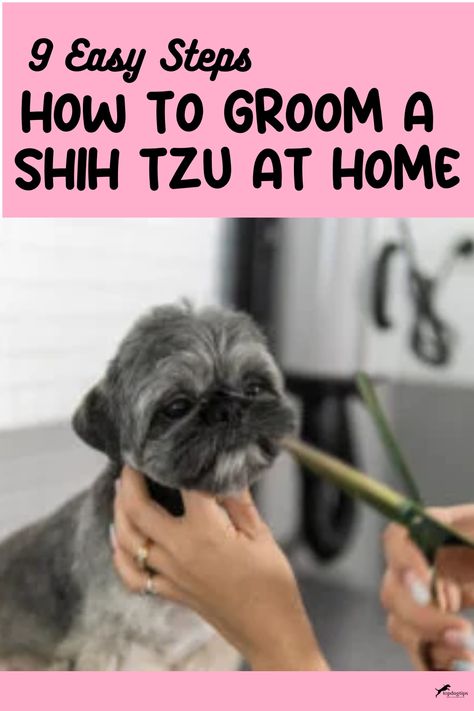 9 Easy Steps How To Groom A Shih Tzu At Home Grooming Shih Tzu Face, Dog Grooming For Beginners, How To Groom A Shih Tzu At Home, Dog Grooming Styles Shih Tzu, Shih Tzu Haircuts Grooming, Grooming Shih Tzu, Shitzu Haircuts, Shih Tzu Puppy Training, Shih Tzu Grooming Styles