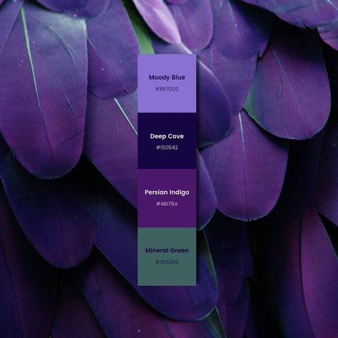 Canva on Instagram: “Feelin' fly with all these purple feathers! Leave a 💜 below if this is your color palette! #canvacolors #canva” Fashion Logo Design Inspiration, Purple And Green Wedding, Purple Feathers, Green Branding, Color Design Inspiration, Shop Inspiration, Purple Color Palettes, Green Themed Wedding, Color Schemes Colour Palettes