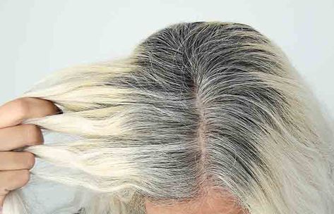 The Best Way To Bleach Gray Hair At Home Bleach Wash Hair, Grey Hair Strands, Diy Bleach Hair, Bleaching Hair At Home, Hair Dye Techniques, Blonde Hair At Home, Grey Hair Remedies, Short Bleached Hair, Ash Grey Hair