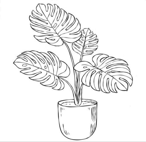 Line Drawing Plants, Coloring Pages Plants, Monstera Leaf Outline, Monstera Leaf Drawing, Monstera Plant Drawing, Plant Outline, Plant Coloring Pages, Plant Sketches, Black And White Stickers