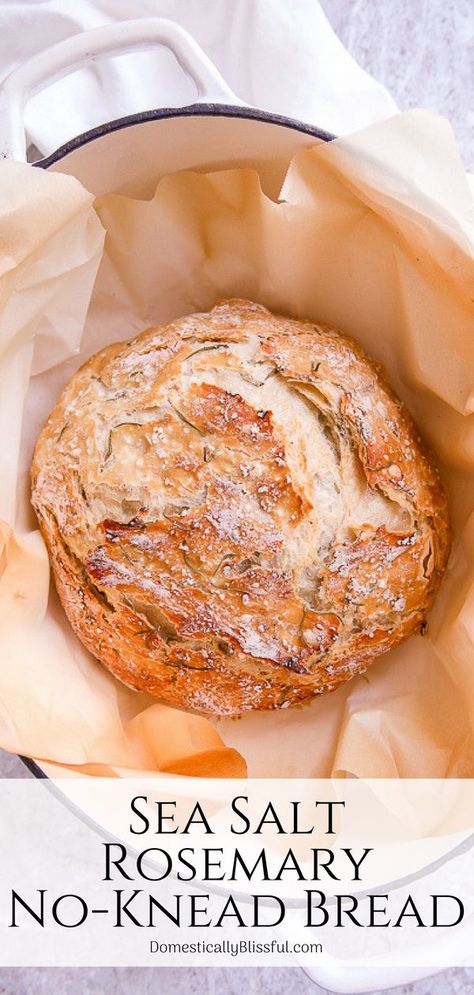 Rosemary Sea Salt Sourdough Bread, Rosemary Sea Salt Bread, Cottage Core Meals, Menstrual Meals, No Knead Rosemary Bread, Savory Bakes, Bakery Oven, Domestically Blissful, Sea Salt Recipes