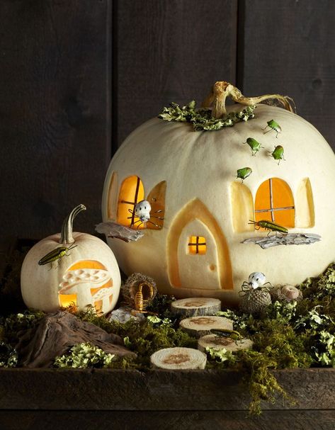 Carve These Enchanted Forest Scene Pumpkins Pumpkin Fairy House, Pumpkin Carving Stencils Free, Pumpkin Stencils Free, Halloween Pumpkin Stencils, Pumkin Carving, Pumpkin Stencils, Creative Pumpkin Carving, Halloween Decor Diy, Pumpkin Carving Designs