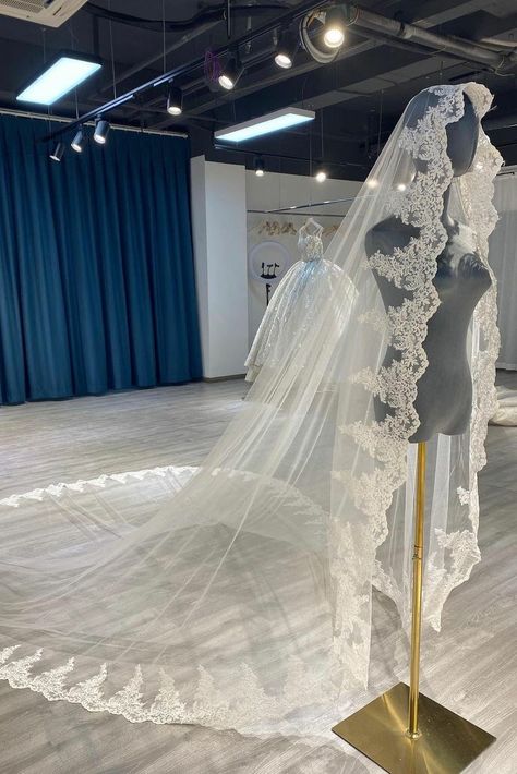 Gorgeous Wedding Veils, Long Beautiful Veils, Bridal Long Veil, Long Veil Wedding Cathedrals, Lace Wedding Veil Long, Royal Wedding Veil, Regal Wedding Veil, Pretty Veil Wedding, Cathedral Style Wedding Dress